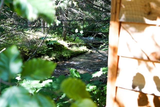 Hope Alaska'S Bear Creek Lodge Екстер'єр фото