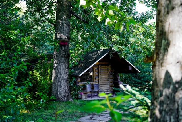 Hope Alaska'S Bear Creek Lodge Екстер'єр фото